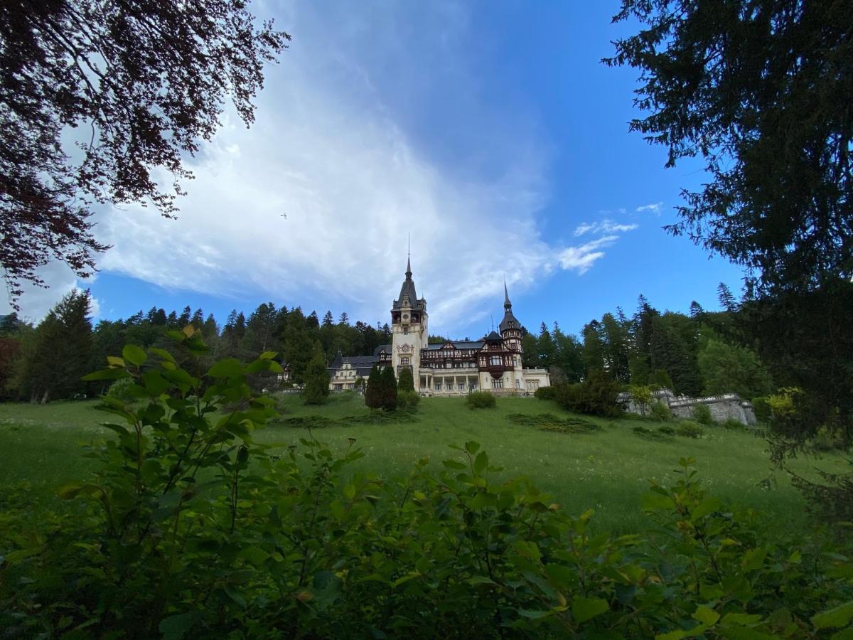 Vila De Argint Aleea Pelesului Nr 2 Sinaia Exterior foto