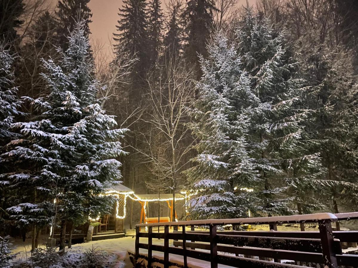 Vila De Argint Aleea Pelesului Nr 2 Sinaia Exterior foto