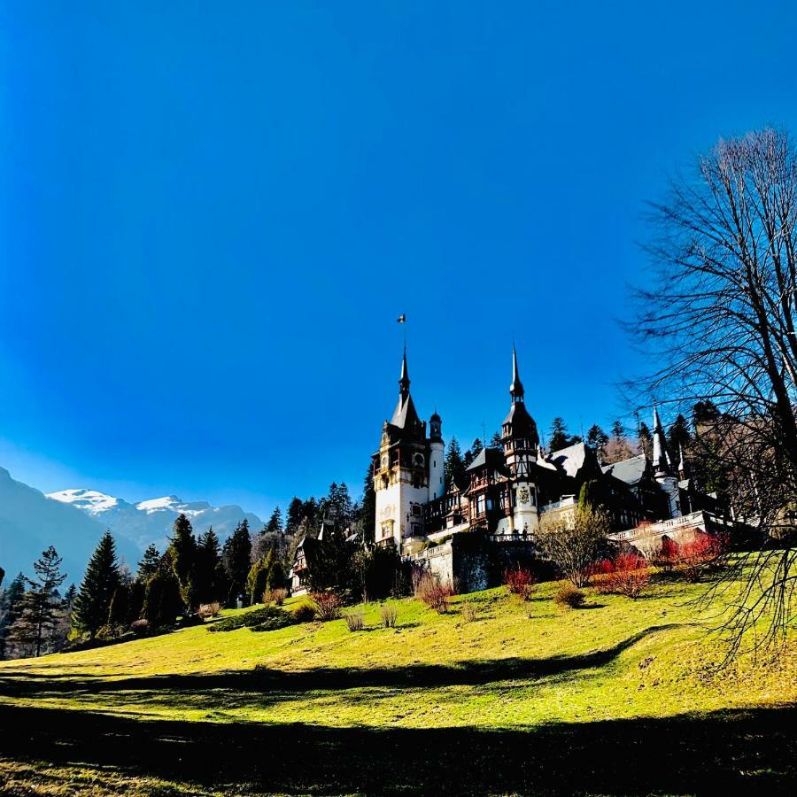 Vila De Argint Aleea Pelesului Nr 2 Sinaia Exterior foto