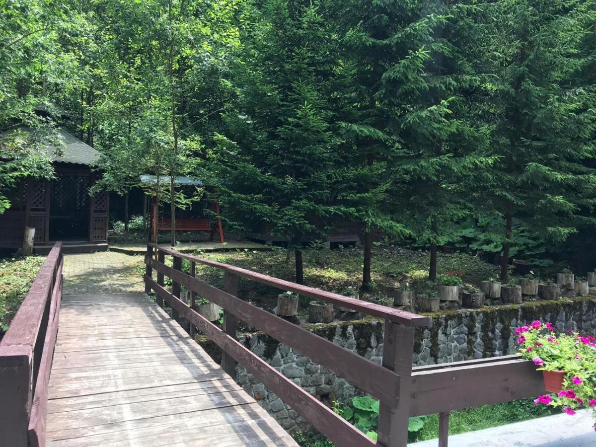 Vila De Argint Aleea Pelesului Nr 2 Sinaia Exterior foto
